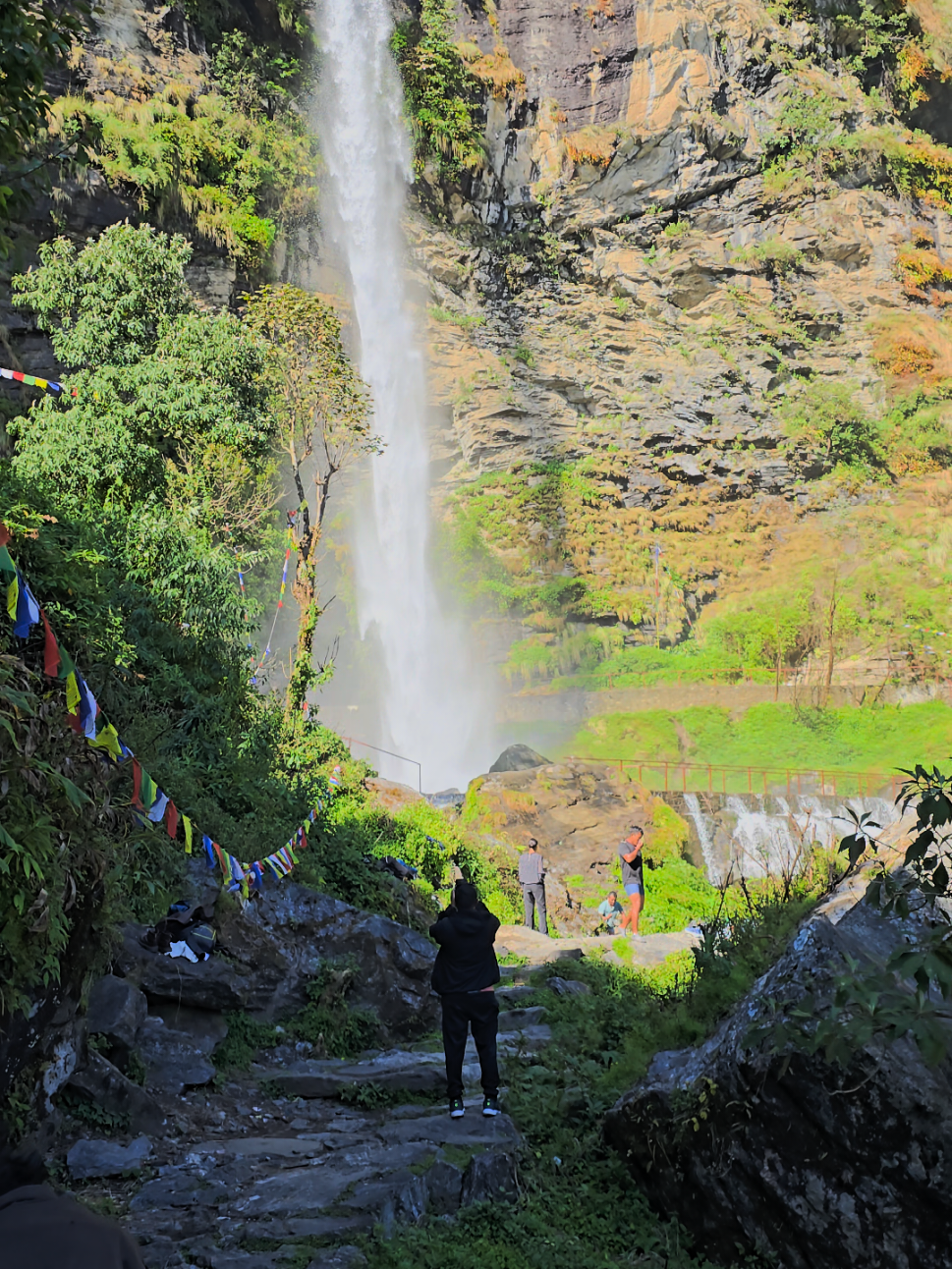 #fypage #creatorsearchinsights #foryoupage #fyp #foryou 