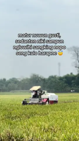 #combineharvester #fyp #bundamanoharacrew 