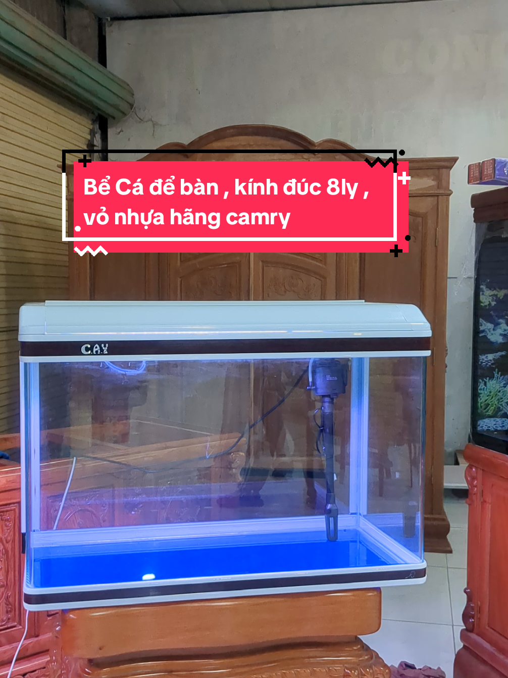 Mẫu bể cá để bàn , kính đúc 8ly , vỏ nhựa hãng camry, đầy đủ phụ kiện giá 4tr #TikTokAwardsVN #xuhuong #beca #noithat #BECAHUUDANG 
