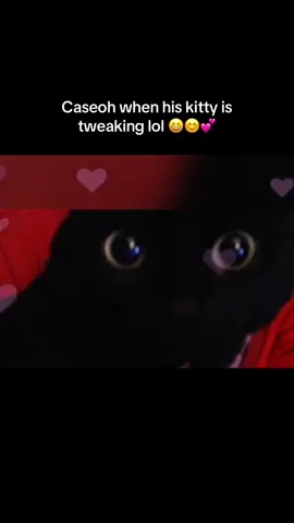 Two different types of men 💯 #pets #streamers #hasan #caseoh #emokage 