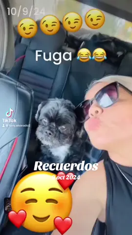 #LIVEIncentiveProgram #LIVECareer #PaidPartnership 