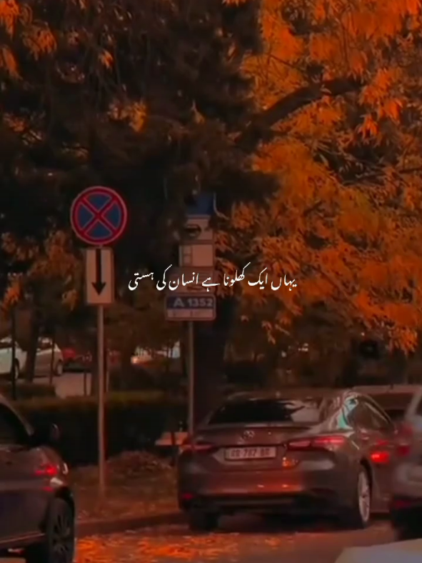 یہ دنیا اگر مل بھی جائے تو کیا ہے ؟ #poetry #hearttouching_lines #sad #reality #realityoflife 