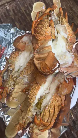 TÔM MŨ NI ĐỎ🦞#haisan #haisanbebu #seafood #haisanthiennhien 