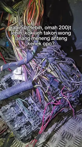 wedokan sak Iki lueh pilih dadi  Rondo timbang Urip Soro🤪🙌 #gunungharta #tukangkabel #gununghartasolutions #ghts_team💫 #bustronton 