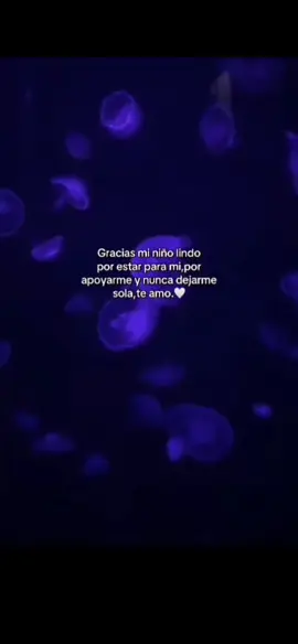 @Osito_azul17💙 