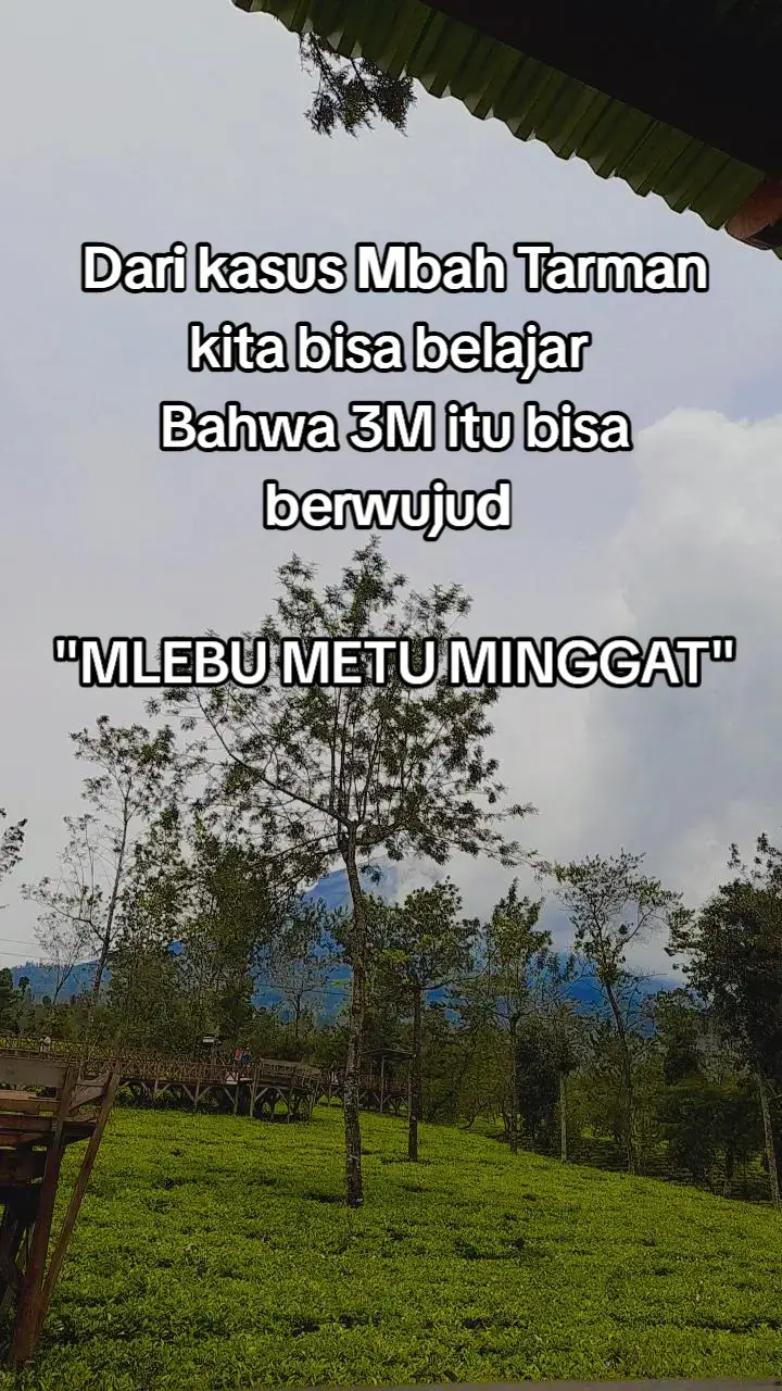 #yanglagiviral #3M #mbahtarman #pacitanviral #mbahtarmanpacitan 
