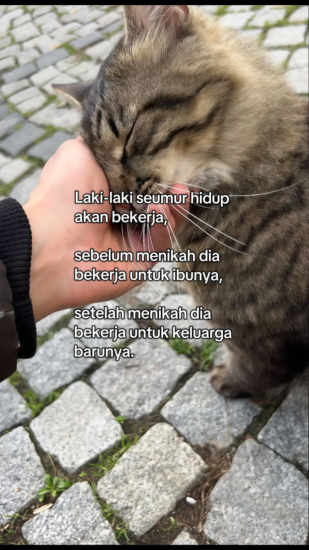 Laki-laki lelah dengan dunianya.