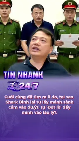 shark bình mới nhất, shark bình có mối liên hệ như nào với antex, shark bình đi rồi phương oanh bây giờ ra sao #tintuc24h #tintinhbao #vtv #fyp #sharkbinh 