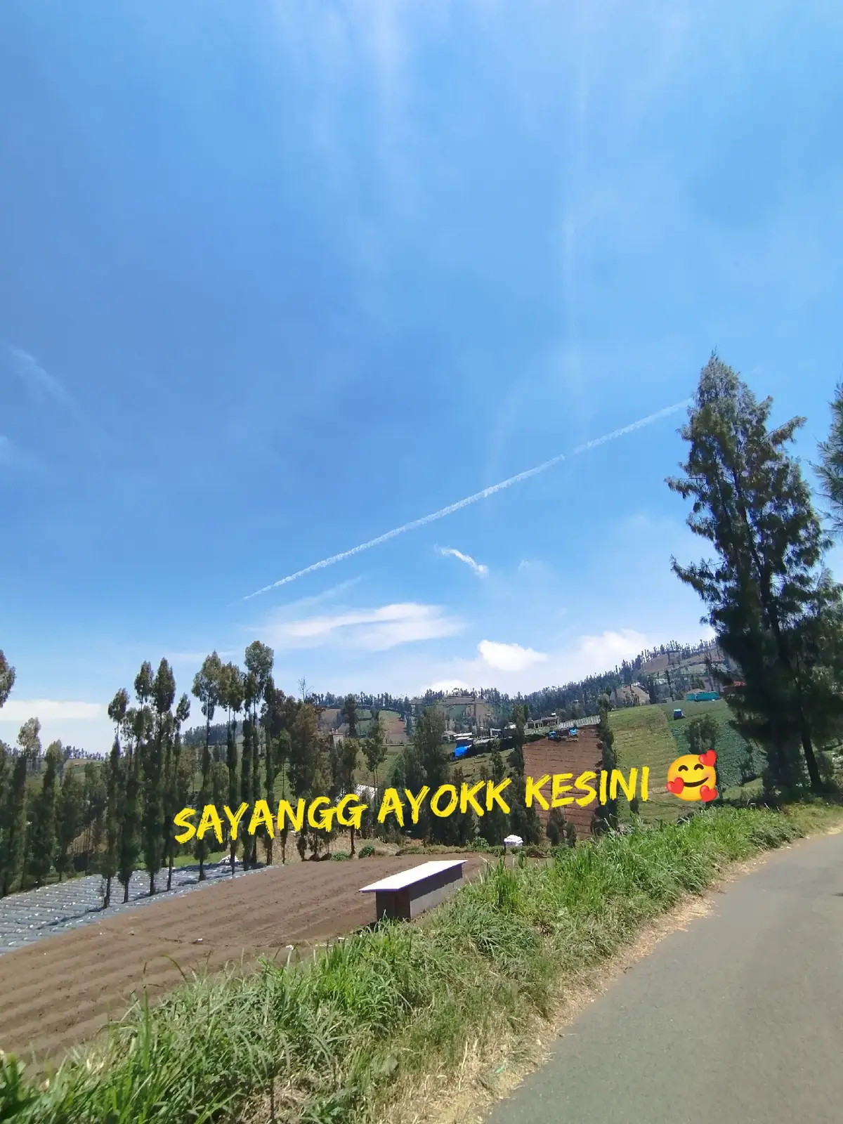 Biasanya naik eskalator , sekarang naik ke bukit 🤣 #pemula #pendakipemula #weekend #gunung #bromo 