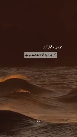خاموشی ان کہے لفظوں کی امانت ہے میری گفتگو کو پامال نہ کرنا فیضان #foryoupage #lines #urdupoetry #poetry #sad 