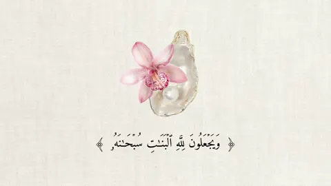 ﴿وَيَجۡعَلُونَ لِلَّهِ ٱلۡبَنَٰتِ سُبۡحَٰنَهُۥ وَلَهُم مَّا يَشۡتَهُونَ﴾ - [سورة النحل : ٥٧] - #اجر_لي_ولكم_ولوالدينا_وللمسلمين #قران_كريم #صدقة_جارية #quran #عبدالرحمن_مسعد 