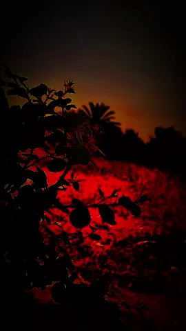 #تصويري📷 