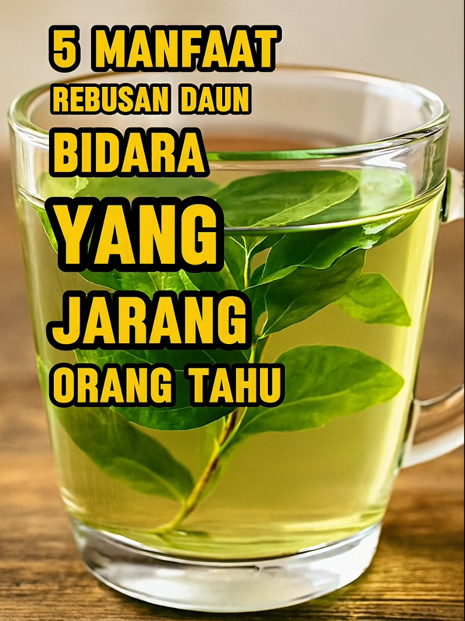 5 Manfaat Rebusan Daun Bidara Yang Jarang Orang Tahu. #hidupindah 