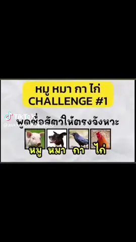 Coba trend ini vin, sebut nama hewannya sesuai ketukan kuningnya wkwkwk @kevin_lius_bong  #kreact #kevinliusbong #foryoupage #challenge  #kevinreaction 