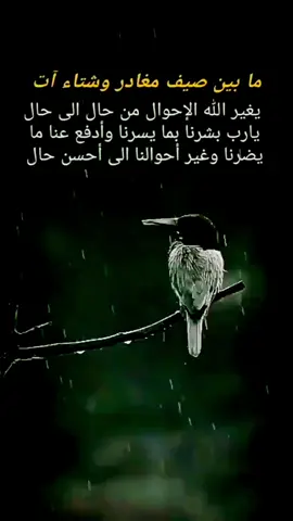 #صباحكم_سعادهـ🌸🍃 