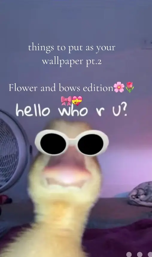 🩷❤️🧡💛💚🩵💙💜🤍🎀🌺🌷