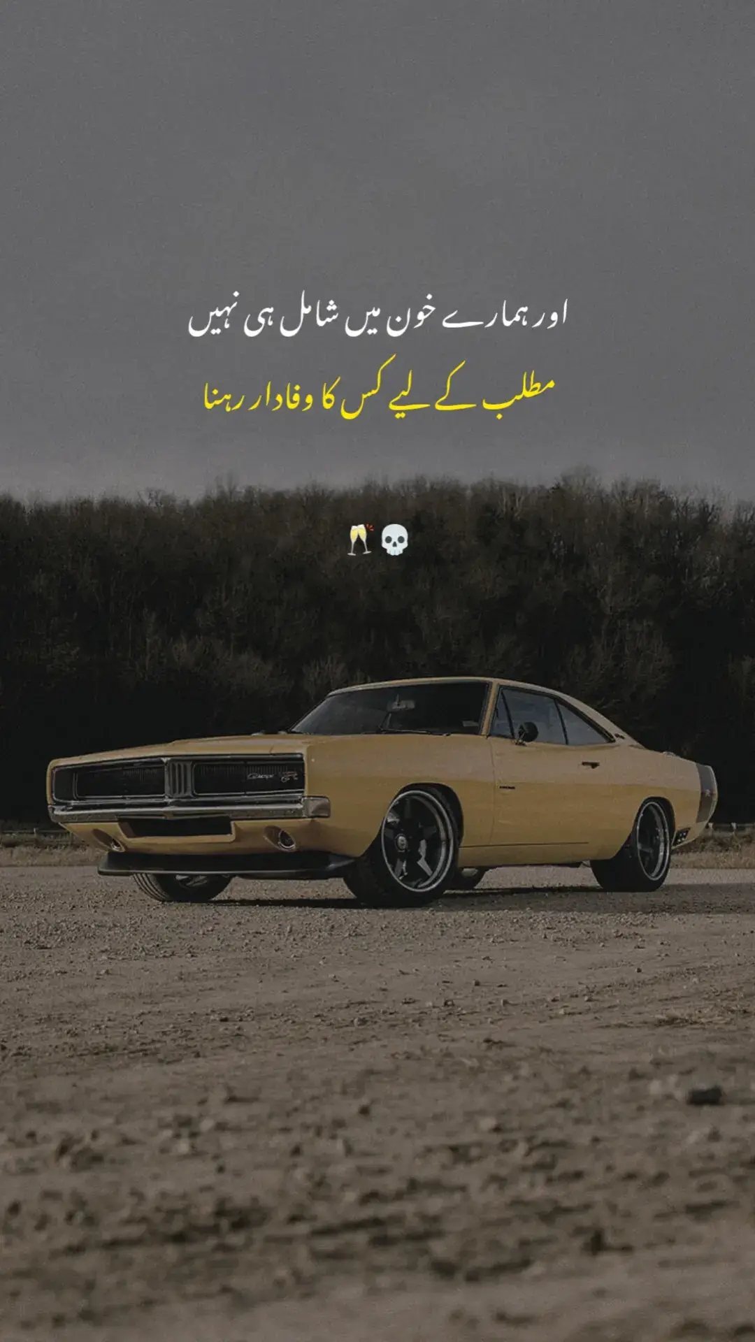 #creatorsearchinsights #growmyaccount✅ #foryou #foryoupage #viral @creator search insights 2025 @ABDUL REHMAN 