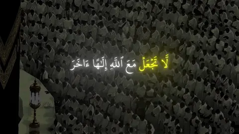 ﴿وَقَضى رَبُّكَ أَلّا تَعبُدوا إِلّا إِيّاهُ﴾ [الإسراء: ٢٣]#ياسر_الدوسرى #سورة_الإسراء #اكتب_شي_توجر_عليه 