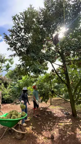 Iphone 📱màu nào được nhỉ #TikTokAwardsVN #xuhuong #47daklak #jyp #saurieng #viral 