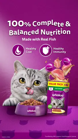 Every purr starts with the right nutrition 😻 #WhiskasPH 