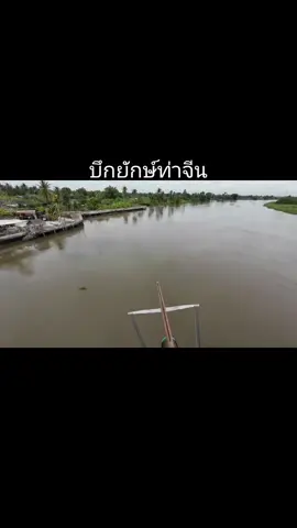 #บึกยักษ์ท่าจีน ลอยทั้งลำ #ปลาผุด #ยิงปลาบนสะพาน #แม่น้ำท่าจีน #ฝากผลงานด้วยน่ะครับ 