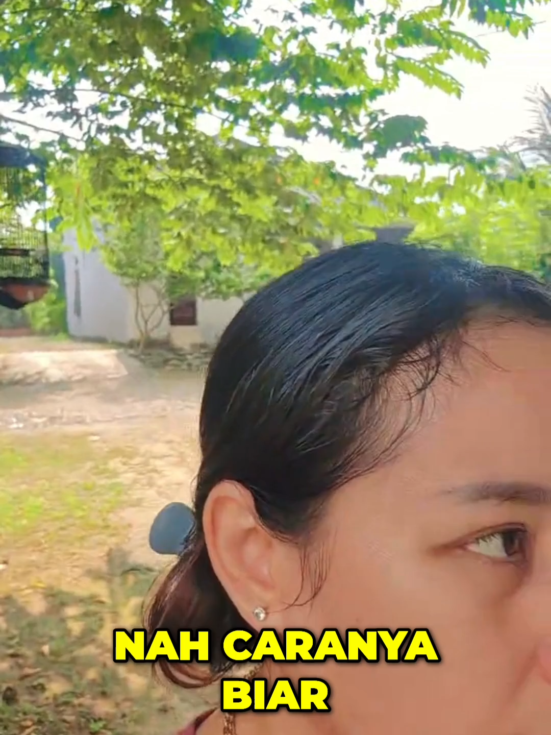 Tips buat yang punya burung yang apal banyak materi, dan biar digantangan keluar isian yang bagus simak videonya pren #kicaumania #muraibatu #umikasum #perawatanburung #edukasiburung #masteranburung