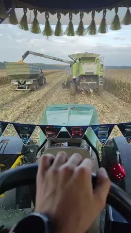 #johndeere8310r #🇺🇦🇺🇦🇺🇦🇺🇦🇺🇦🇺🇦🇺🇦 #рекомендации #жнива2025 