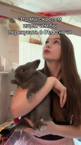 Как же хорошо,когда есть поддержка чтобы перекусить🤭🤫 Пусик всегда рад поесть😄🥕 А что осталось за кадром можно увидеть в нашем тг: sir_pusik❤️🐰                                                   #кролик #rabbit #pet #yum #нямням 