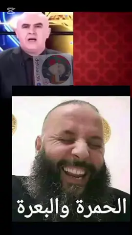 فقيس المرارة 