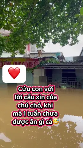 Khi nào nước mới hết đây#xuhuongtiktok #lênxuhướng 