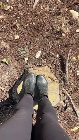♥️🌺♥️