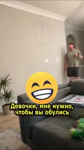 #orsearchinsights #tiktoklive #hesh #trend #foryou 