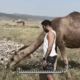 ههههههههههههههههههههههههههههههههههههههههههههههههه#fyp #tiktok #foryoupage #viral #foryou #عبودكا 