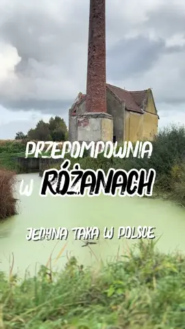 Czy wiesz, że między żuławskimi polami stoi budynek, który wciąż kryje kompletną maszynę parową z 1911 roku? Kocioł Komnicka, pompy Schichaua – wszystko zachowane tak, jak przed ponad stu laty. To jedyna taka przepompownia w Polsce #historia #ciekawostki #Żuławy #Polska #zabytki 