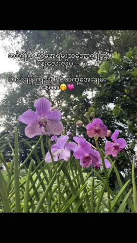 တကယ်ချစ်မိသွားရင်သူကလွဲပြီးဘယ်သူ့ကိုမှစိတ်မဝင်စားတော့တာမျိုး🤍#moots? #fyp #viewsproblem😭 @TikTok 