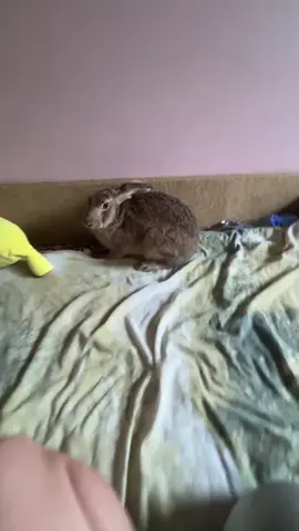 #реки 