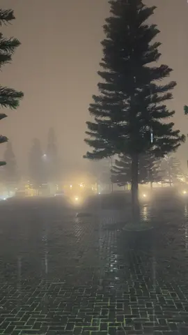 Raw video on a rainy night in Tagaytay #Tagaytay #rainyday 