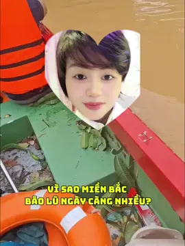 từ ngày chia rẽ tăng đoàn ở huế,rồi ép thầy rồi việt nam,những người phỉ báng thầy cũng đa phần ở ngoài bắc và thế là miền bắc lũ lụt tai ương tới liên tục #adidaphat #xuhuong #suminhtue #minhtue #thichminhtuemoinhat #phatphapnhiemmau