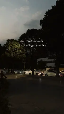 #fyp 