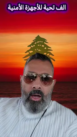 الف تحية للأجهزة الأمنية اللبنانية  #لبنان #اكسبلورexplore #tiktokvideo #fypシ゚viral #الجيش_اللبناني 