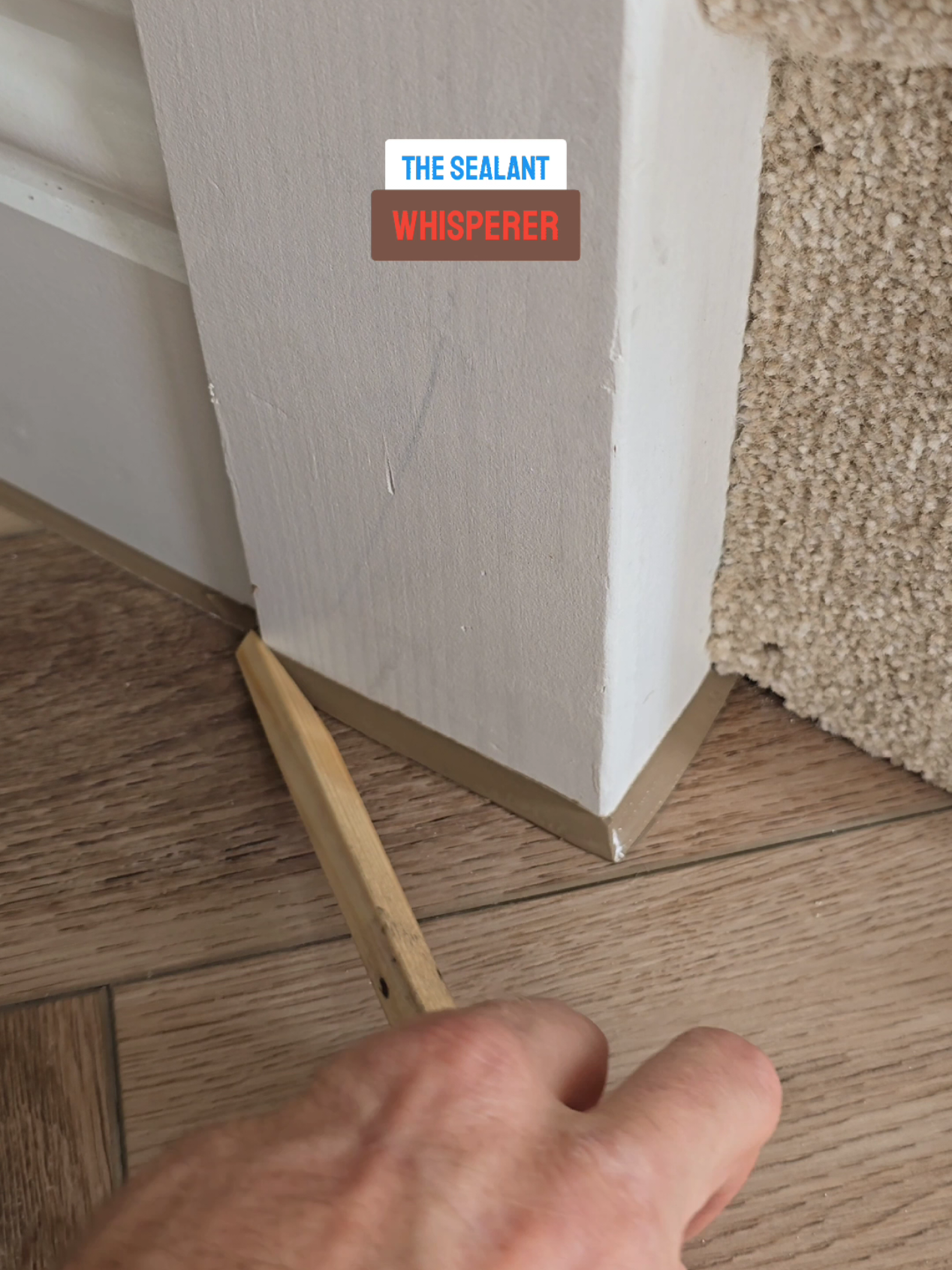 *whispering* Allow me to whisper your sealant into perfection 🤫  #satisfying #masticman #southcoastsealantsltd 