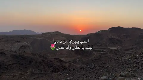 #الديره #تصويري #اكسبلور #fyp 