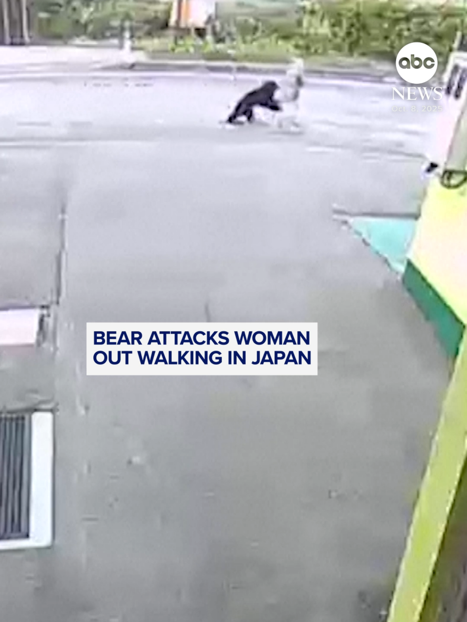 An 82-year-old woman out for a morning walk was attacked by a bear in northern Japan on Wednesday, local media reported.  She suffered scratches to her face and was taken to hospital, according to the country's national broadcaster. #animals #bears #japan