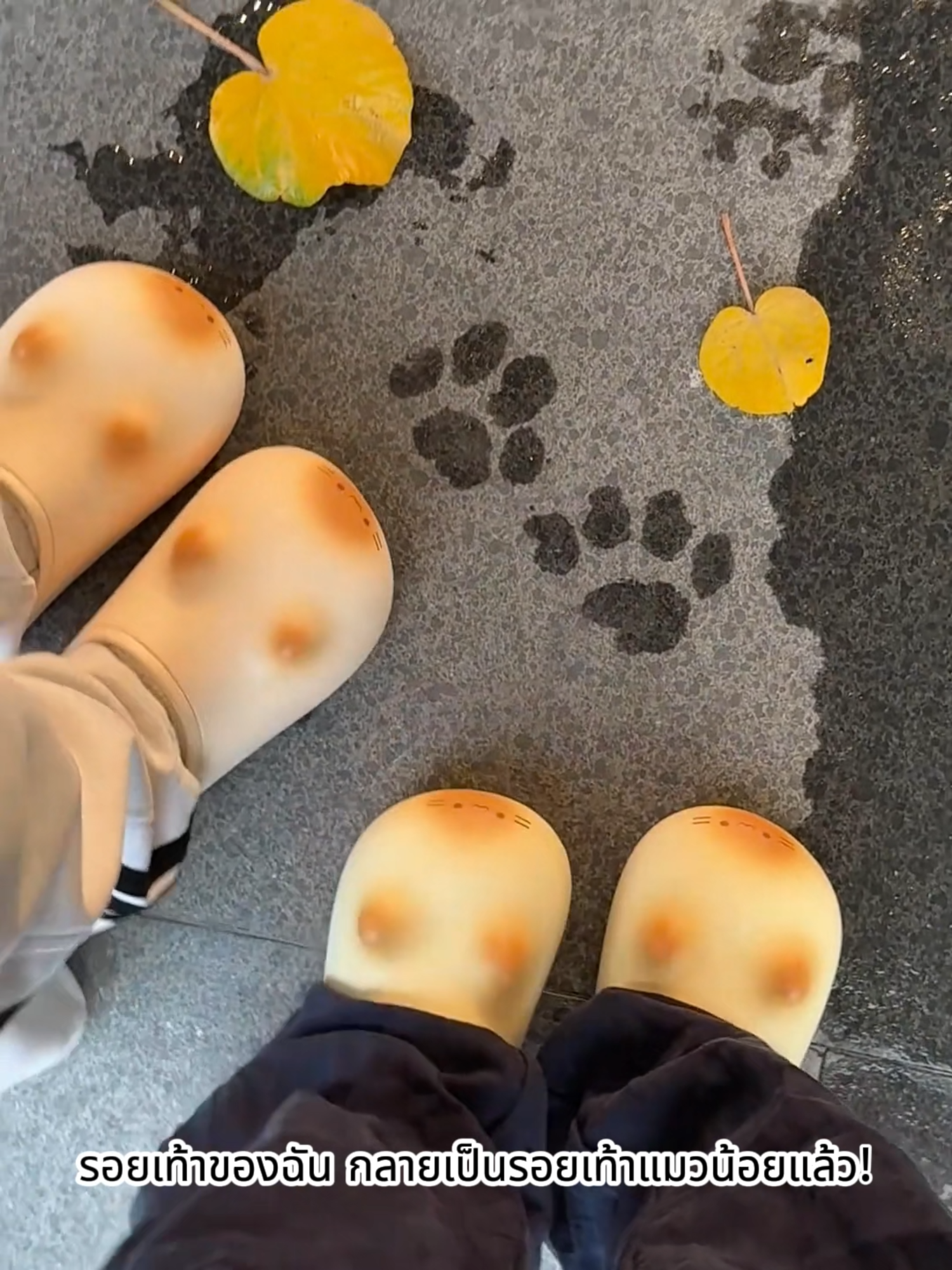 รอยเท้าของฉัน กลายเป็นรอยเท้าแมวน้อยแล้ว!  #รองเท้าแตะ #cute #cat #Slippers #autumn