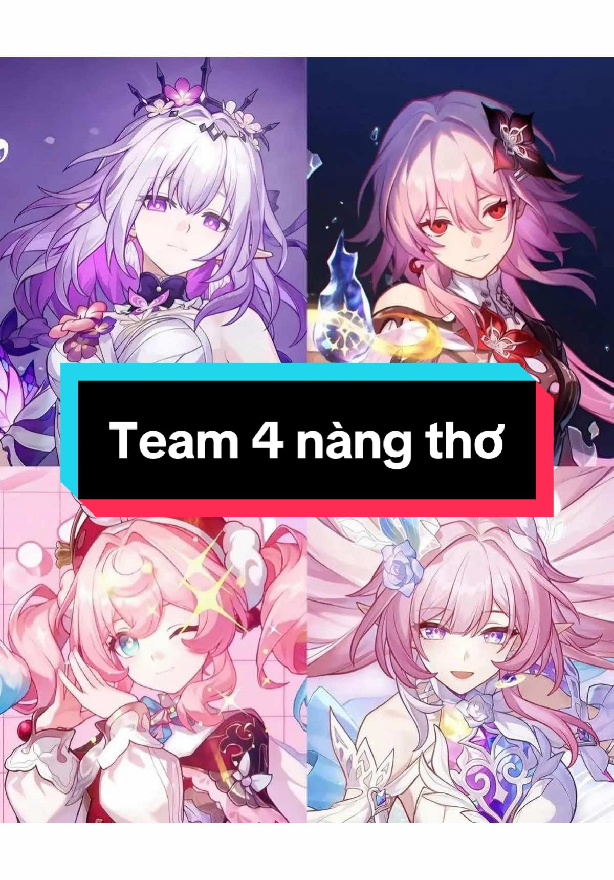 Cái team ta nói nó sanggggg #HonkaiStarRail #xuhuong #castorice #fyp #phainon 