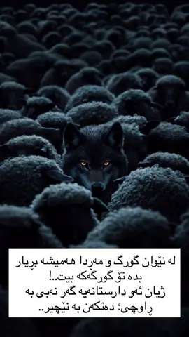 #کوردستان_سلێمانی_کەرکوک_هەولیر  #kurdistan  #wolf 