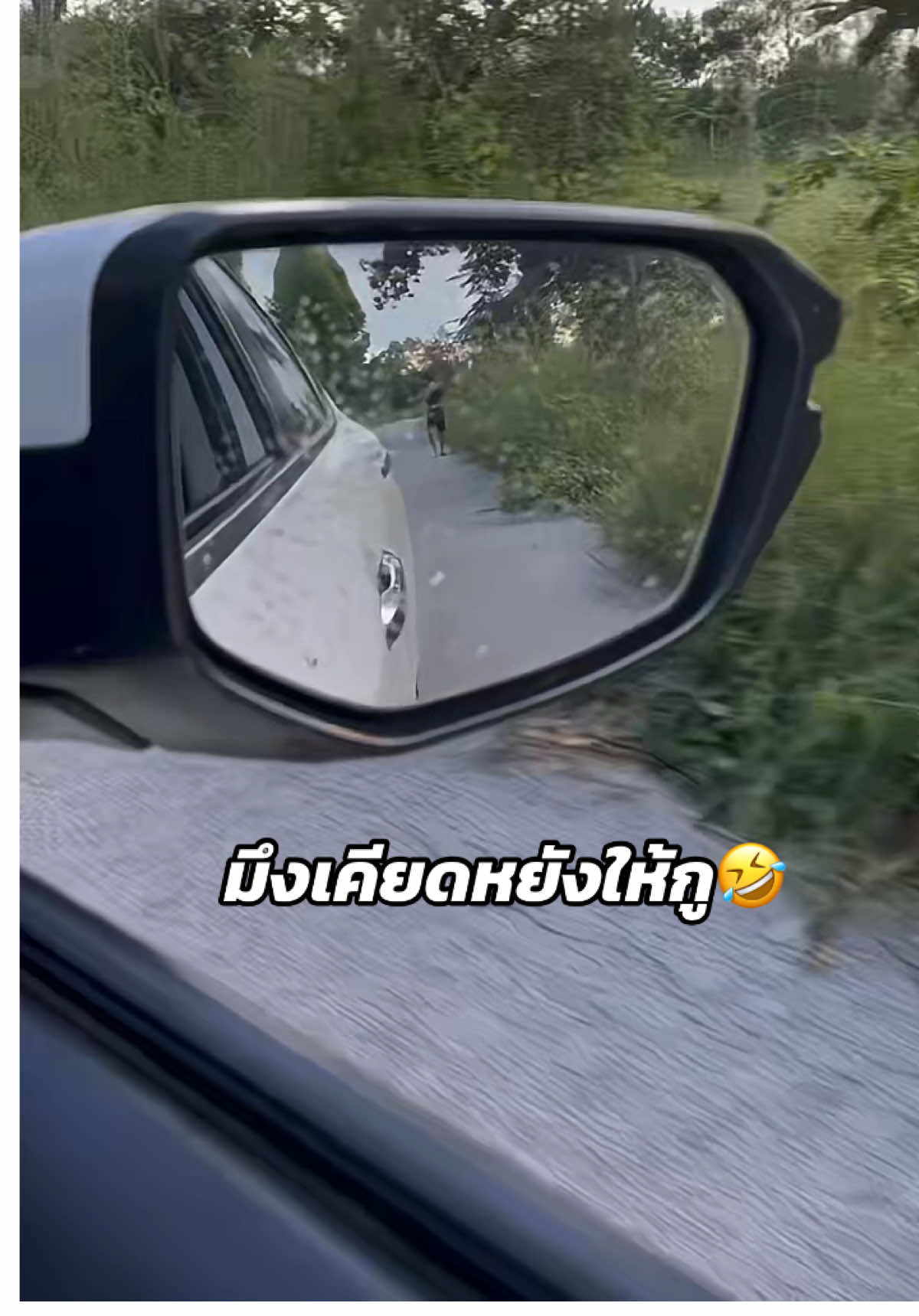 มึงสิขึ้นบ่ขึ้นเกาะ!!! 😌🤣#เนยสมาย #พระจอดดด 