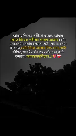 #100kviews #foryoupage #tiktokviral #fyppppppppppppppppppppppp 