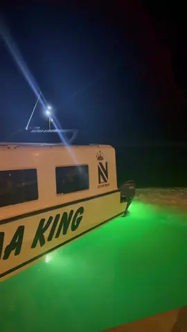 @nayaa11suttaa117 @NAYAA TRAVEL #nayaaferryservice #nayaaking #nayaaking2 #bestinraabaaatoll #maldivesspeedboat 