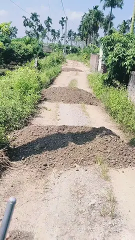 Ở đâu có người tuổi Dậu ở đó thấy được sự vất vả từ trong họ. 